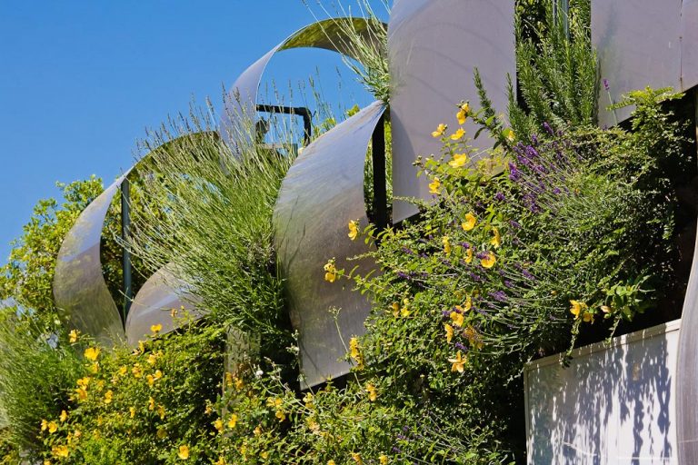 giardino verticale