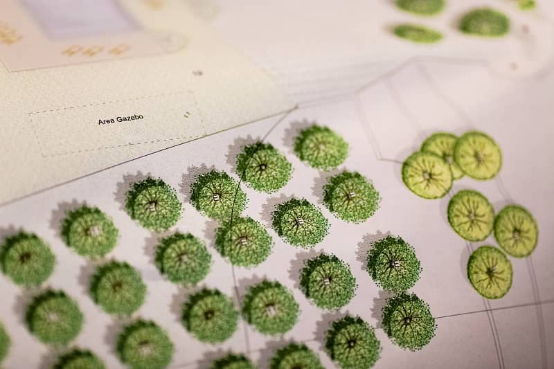 La nostra forza la Progettazione giardini