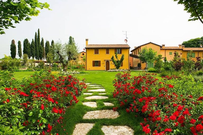 Progettare il giardino: da dove iniziare e quali piante
