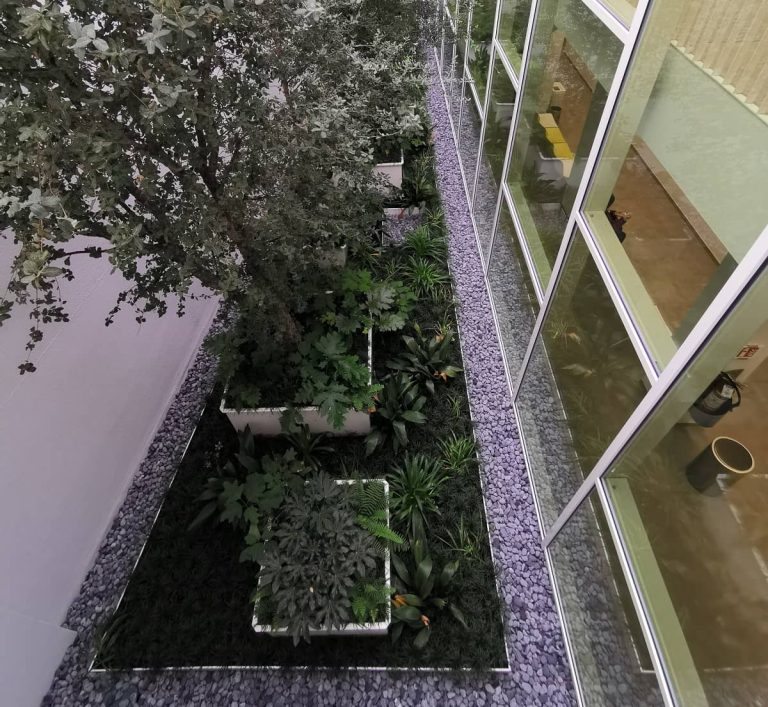 Dal giardino tradizionale al contemporaneo: stili di progettazione per ogni gusto