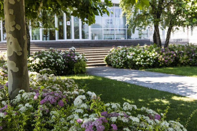 Il giardino per valorizzare l’azienda - Fontana Group
