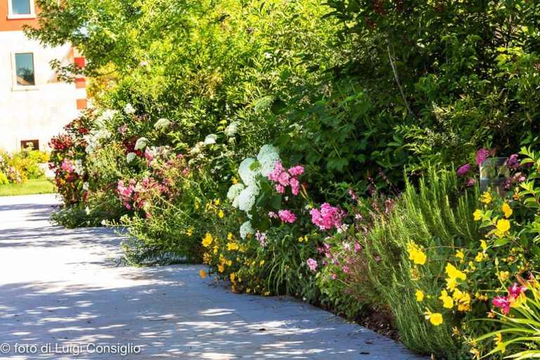 L'arte di combinare colori e texture consigli per la scelta delle piante nel giardino