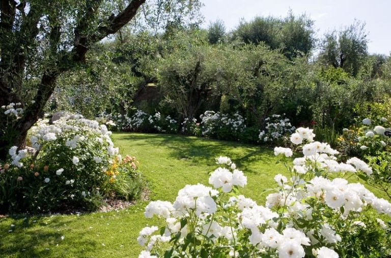Progettare il giardino sostenibile le scelte eco-friendly