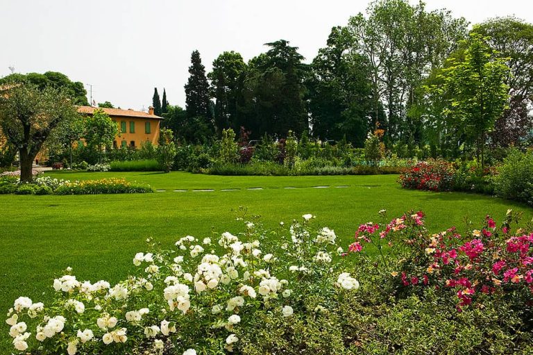 Un giardino senza erbacce